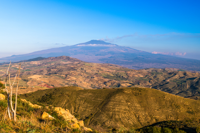 Catania